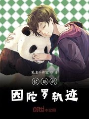 《佐助的因陀羅軌跡》