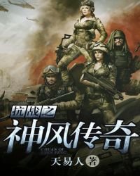 《抗戰之神風傳奇》