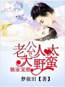 《獨家寵婚:老公大人太野蠻》