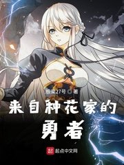 《來自種花家的勇者》