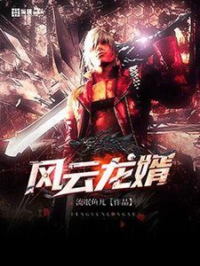 《風雲龍婿》