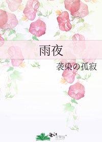 《雨夜》