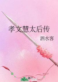 《孝文慧太后傳》