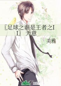 《〖足球之誰是王者之II〗 天意》