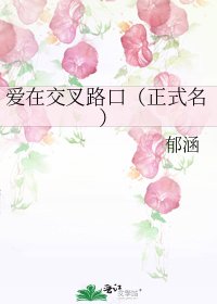 《愛在交叉路口(正式名)》