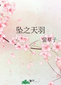 坠之天羽