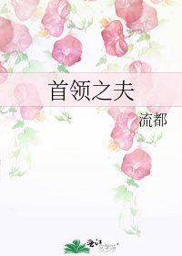 《首領之夫》