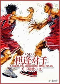 (SD同人)棋逢对手