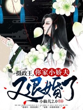 攝政王,你家王妃又退婚了