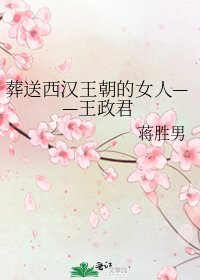 《葬送西漢王朝的女人——王政君》