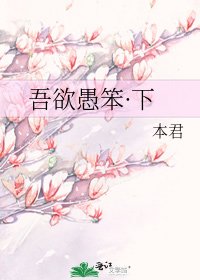 《吾欲愚笨·下》