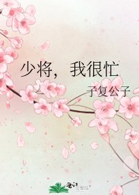 少將,我很忙