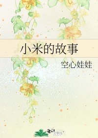 小米的故事