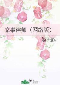 女律师的爱情乌龙(网络版)