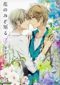 《玻璃鞋的歸處》