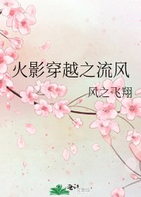 火影穿越之流风
