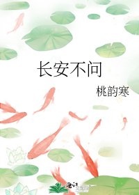长安不问
