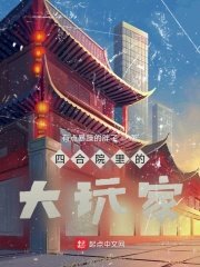 《四合院裡的大玩家》