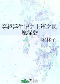 穿越浮生记之上篇之凤凰涅磐
