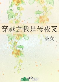 《穿越之我是母夜叉》