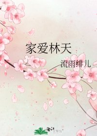 家爱林天