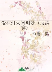 《愛在燈火闌珊處(反清穿)》