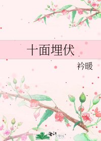 《十面埋伏》
