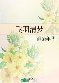 《飛羽清夢》