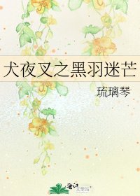 犬夜叉之黑羽迷芒