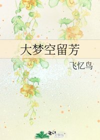 《大夢空留芳》