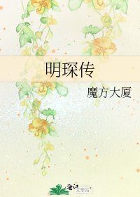 《明琛傳》