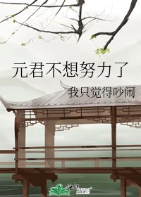 《元君不想努力了》