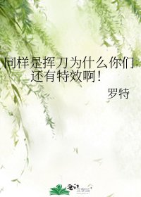 《同樣是揮刀為什麼你們還有特效啊!》