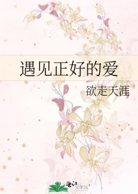 《遇見正好的愛》