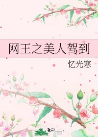 《網王之美人駕到》