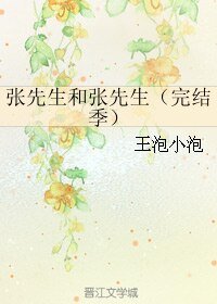 张先生和张先生(完结季)