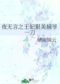夜无言之王妃狠美捅爷一刀
