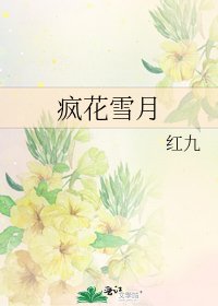 疯花雪月