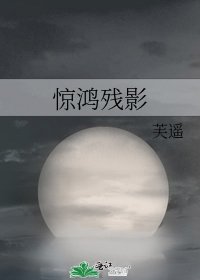 惊鸿残影
