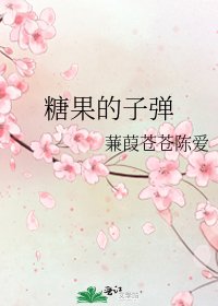 《糖果的子彈》