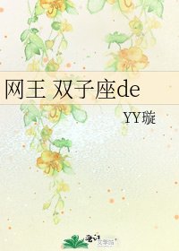 网王 双子座de