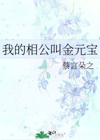 我的相公叫金元宝