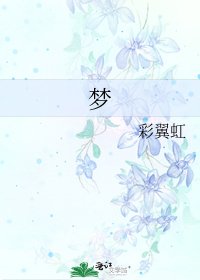 梦