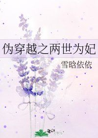 伪穿越之两世为妃