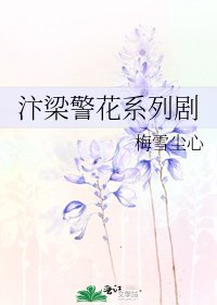 《汴梁警花系列劇》
