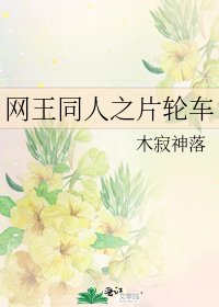 网王同人之片轮车