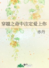 《穿越之命中註定碍上你》