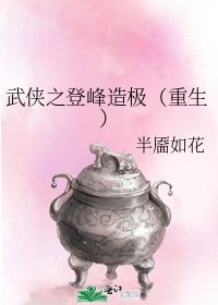 《武俠之登峰造極(重生)》