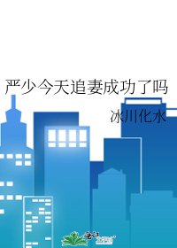 《嚴少今天追妻成功了嗎》