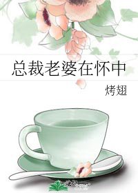 《總裁老婆在懷中》